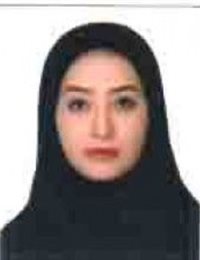 وکیل نگین  دلاوری 