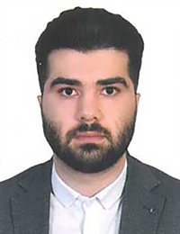 وکیل سیدمیلاد  زارع 