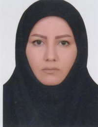 وکیل نسرین  برزگر 