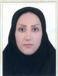 وکیل رویا  احمدی 