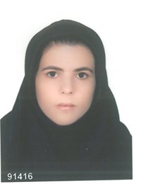 وکیل الهام خاک پراقی