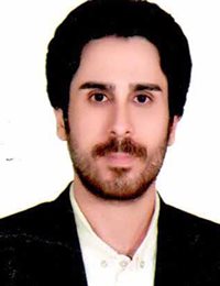 وکیل محمد  محمدی 