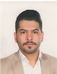 وکیل پویا  میرزاده رفیع 