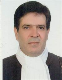 وکیل رضا کرمی