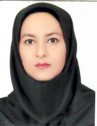 وکیل راحله مرادی
