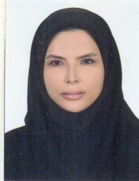 وکیل الین رحیمی