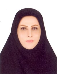 وکیل حمیده نوری میانکلی