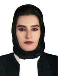 وکیل سید اعظم حیدری