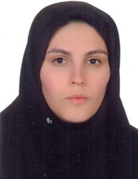 وکیل مهدیه برمکی