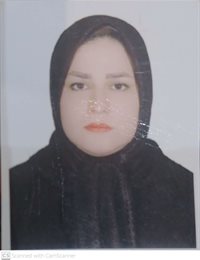 وکیل المیرا میرجلیلی