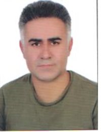 وکیل تیمور احمدی
