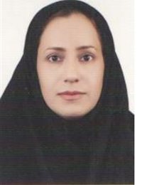 وکیل نسا میهمی