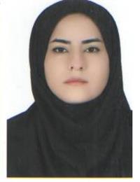 وکیل لیلا منصوری هانیس