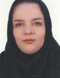 وکیل سروه زندی 