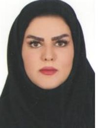 وکیل مسلمه  حسینی