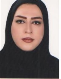 وکیل کویستان سلطانی بیگ زاده