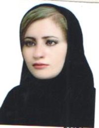 وکیل سارا سیف پناهی
