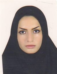 وکیل ترانه  بی قرار 