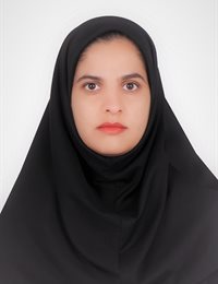 وکیل مینا  غزنوی گهرجی 