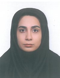 وکیل پرنیان  ملک زاده 