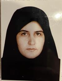 وکیل لیلی کیانفر