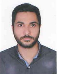وکیل سیدمحمد  موسوی 