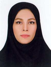 وکیل نسرین  محمدی جبه دار 