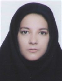 وکیل فاطمه سالمی