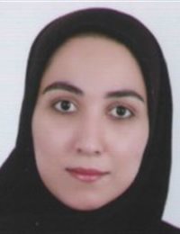 وکیل مهلا مرسی