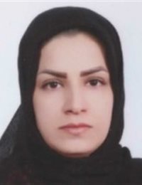 وکیل مینا حری