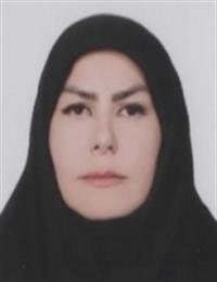 وکیل مرضیه حیدری