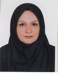 وکیل ترانه  فارسی 