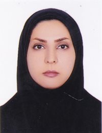 وکیل ناهید  مندی زاده 