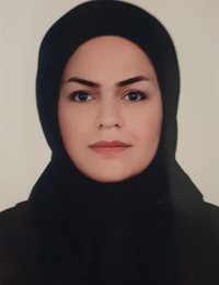 وکیل الهه  دقیقی روچی 