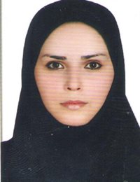 وکیل سولماز خیبرباسمنج