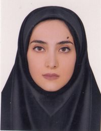 وکیل نسیم  چنارلی 