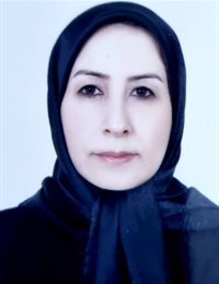 وکیل طیبه  شفی 