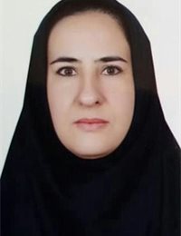 وکیل سکینه  چهره پرداز 