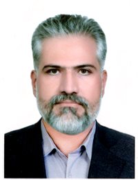 وکیل محمدرضا  مزارعی فرد 