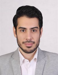 وکیل سیدمحمدجواد  میری 