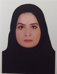 وکیل الهام دولتی کلان