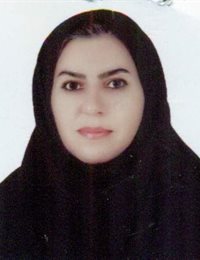 وکیل مدینه شهبازی