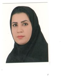 وکیل سعیده  طالب روحی 