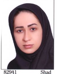وکیل آزاده صادقی