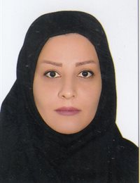 وکیل ندا برنا