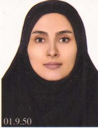 وکیل راضیه محمدی