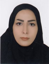 وکیل ام لیلا موسوی