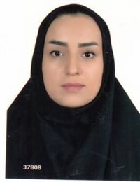 وکیل اعظم رضائی