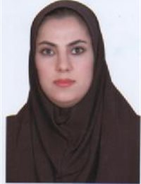 وکیل مدینه بیواره