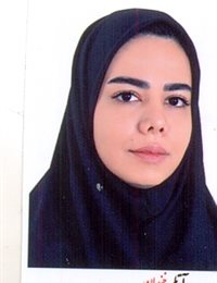 وکیل نسرین صفائی اصل